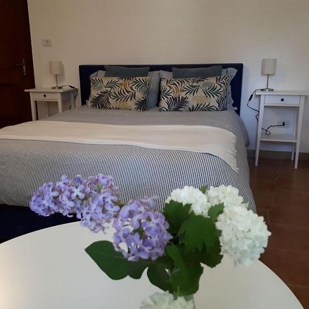 B&B Casa Di Laura Benevento Dış mekan fotoğraf